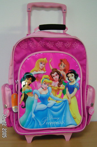 liscence school bag