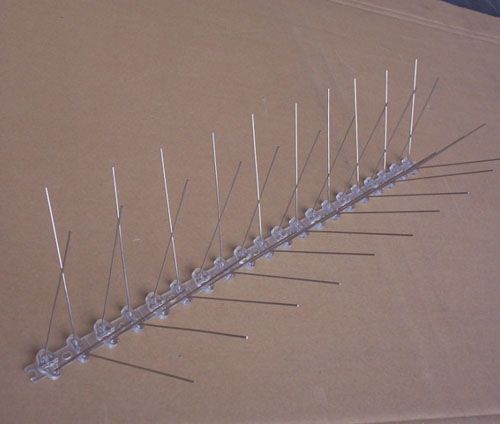 bird spikes