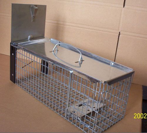 Rat cage trap