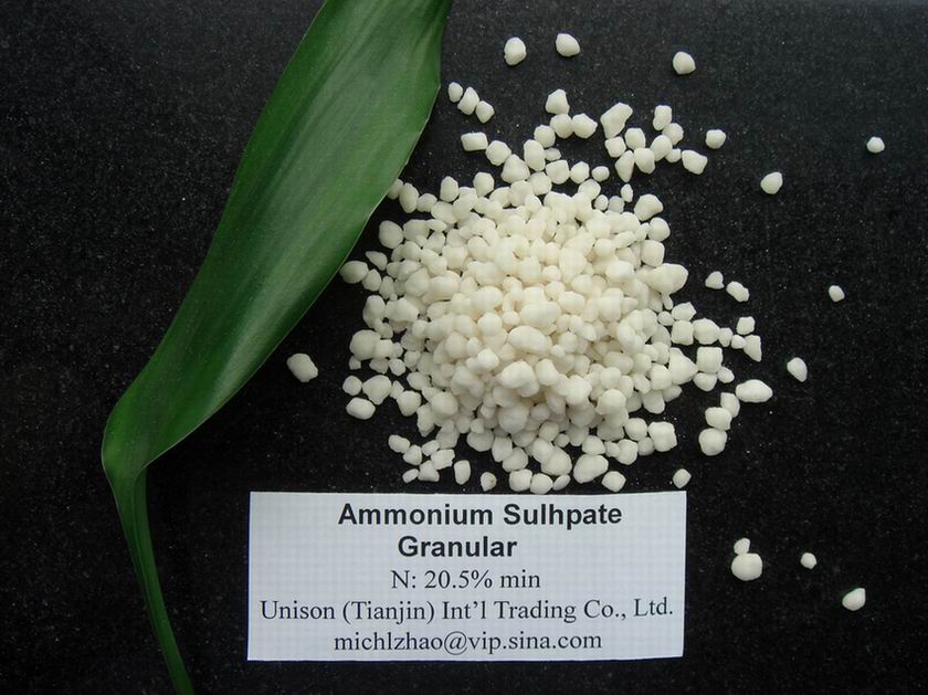 Ammonium Sulphate Granular