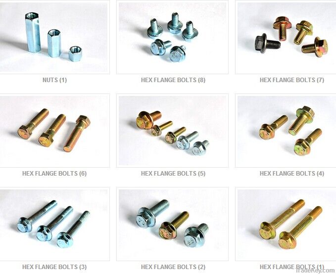 Hex Flange Bolts