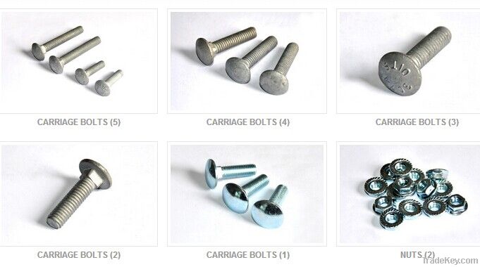 Carriage Bolts