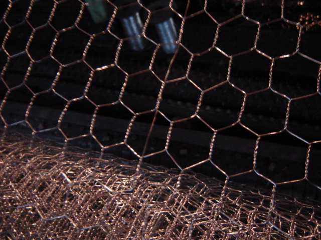 hexagonal wire netting