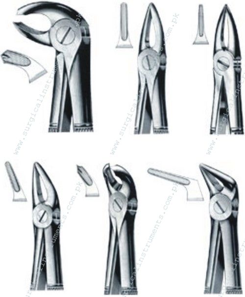 Dental Forcep