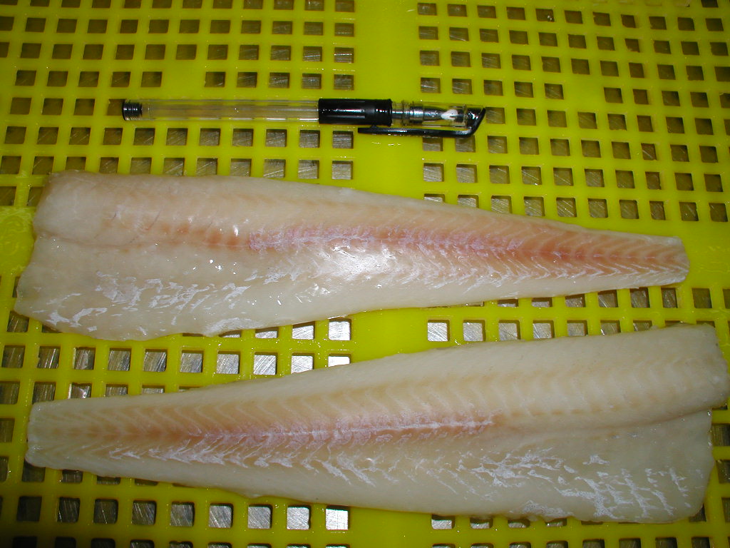 Frozen/salted  fillet of Alaska Pollock, Cod, salmon, Hake, Hoki, etc