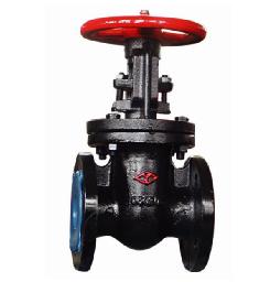 Rising Stem Gate Valve