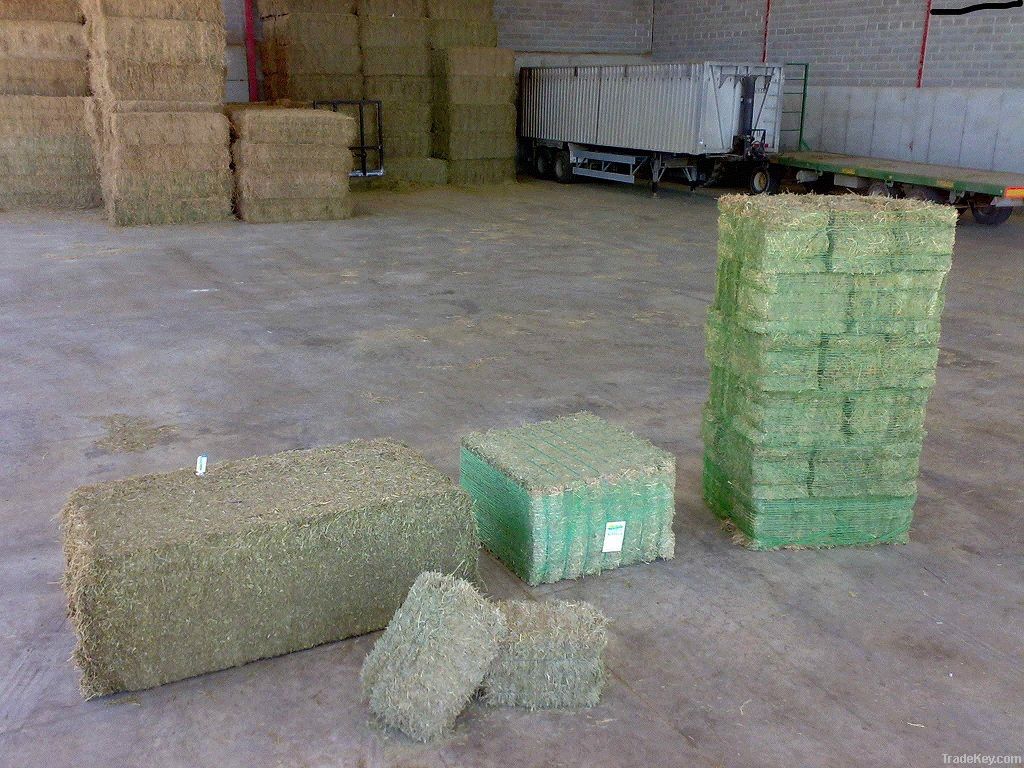 HYGIENIZED STRAW BALES