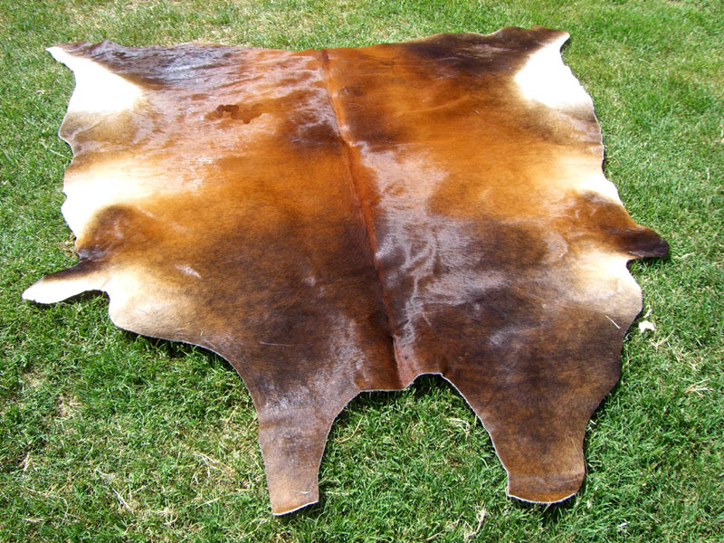 cowhide hair on hide