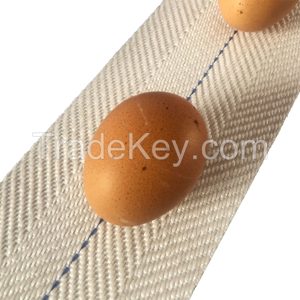 EGG CONVEYOR BELT 100MM FOR CHICKEN LAYER CAGES