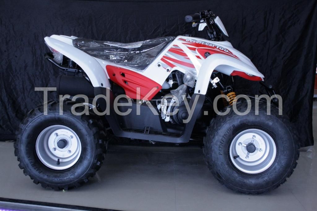 Desert Cat 100cc Quad bike ATV