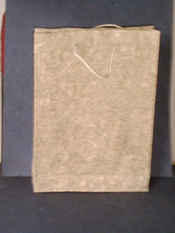 CARRY BAG (BANANA FIBRE)