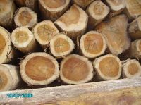 TEAK LOGS WOOD - TEAK SWAN - TEAK ROUND LOGS