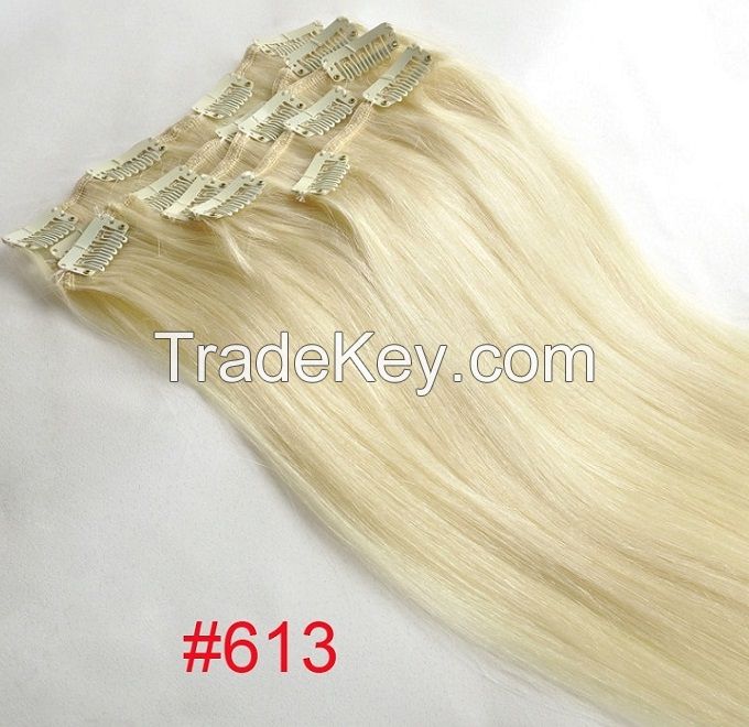 Clip in Human Hair Extension