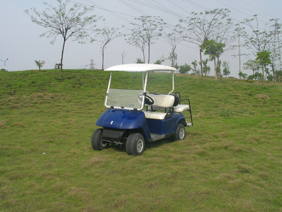 Golf Buggy