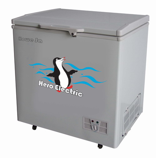 Freezer (BD/BC400T)