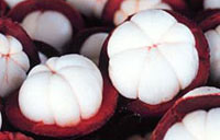 Mangosteen Fruits