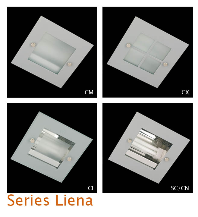 LIENA series - SQUARE SHAPED DOWNLIGHT