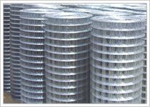 Welded Wire Mesh