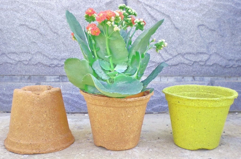 Garden Pot