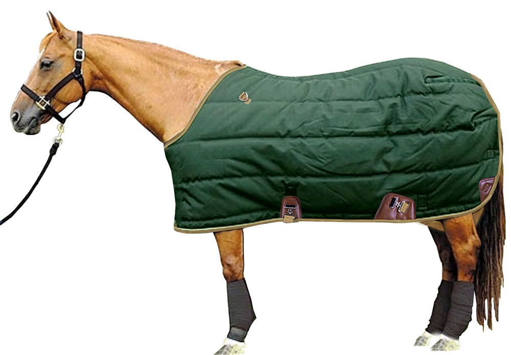 Horse Blanket