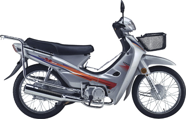 fekon cub motorcycle 110cc