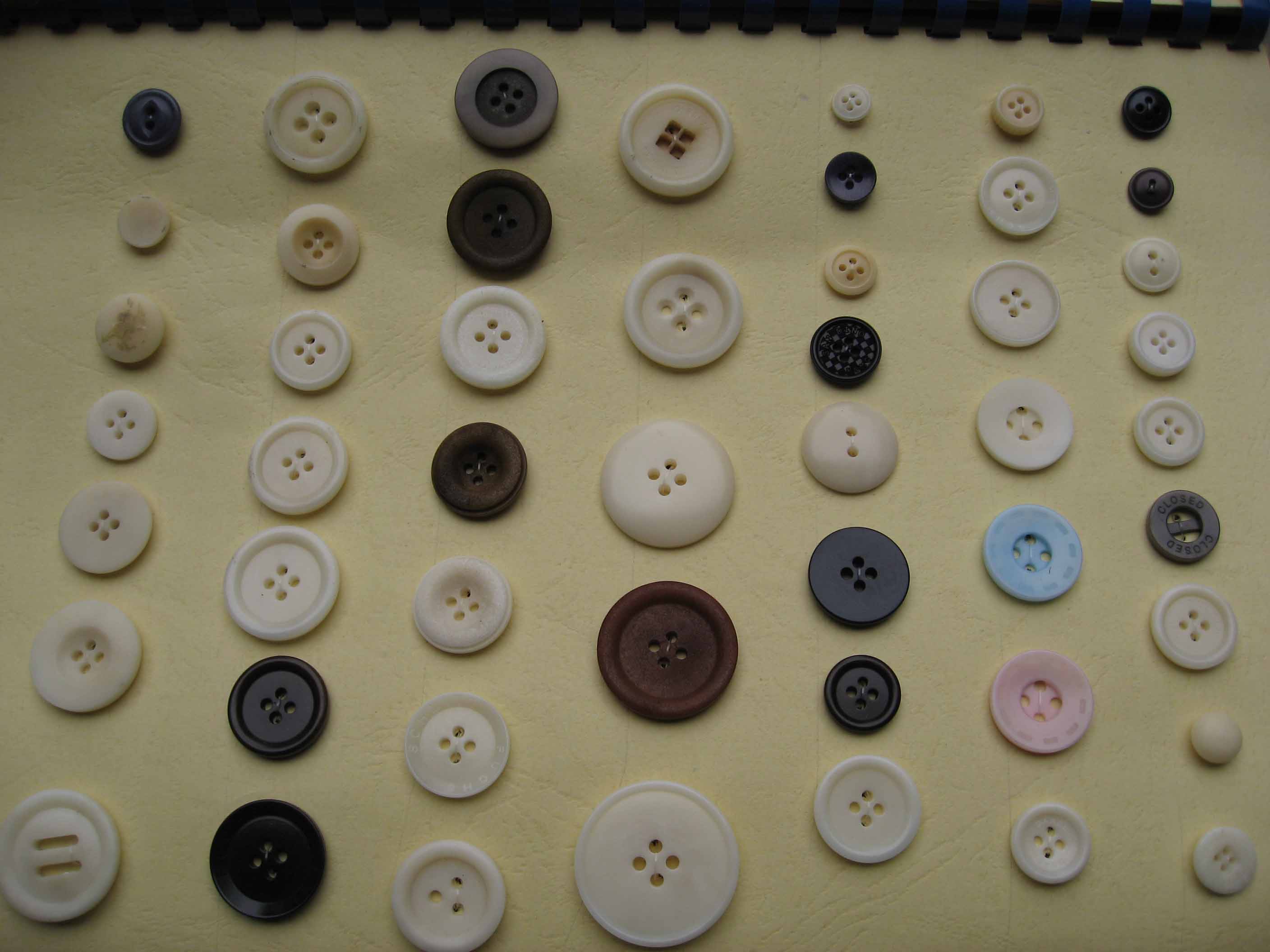 Corozo buttons