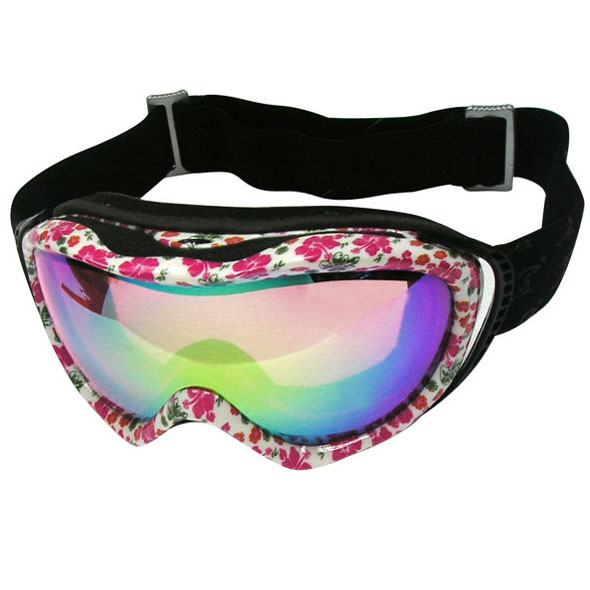 Ski Goggle