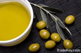 Olive Oil