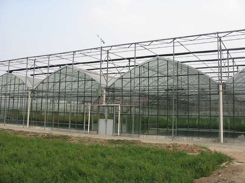 PC Sheet Greenhouse