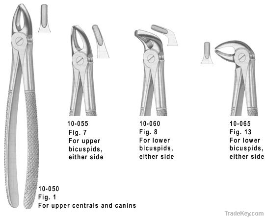 Dental Instruments