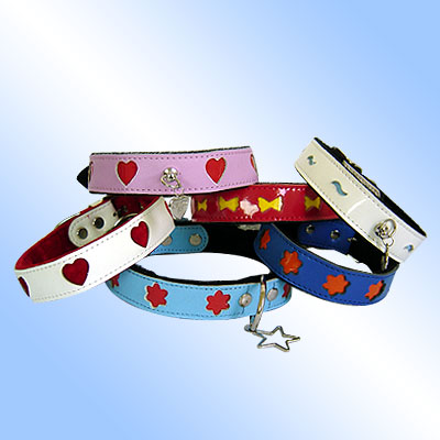 Dog Collars, Cat Collars