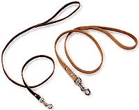 Pet Leashes, Pet Leads