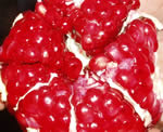 POMEGRANATE FRESH