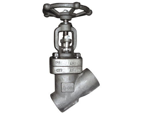 selling Forged Globe Valve (Y pattern)