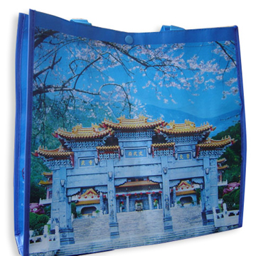 Non Woven Bags