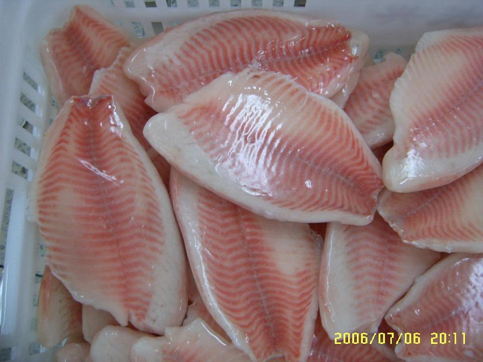 tilapia fillets