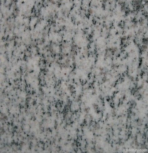 G365 Sesame White Granite