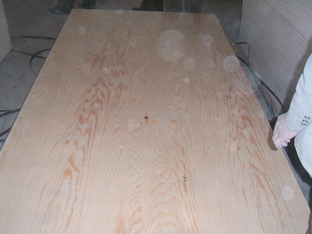 Pine Plywood