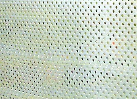 perforated wire mesh