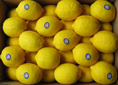 Lemon