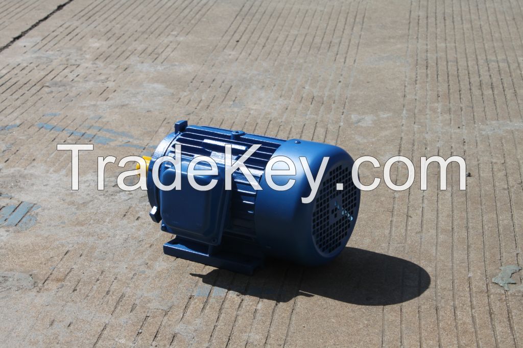 Electric Motor