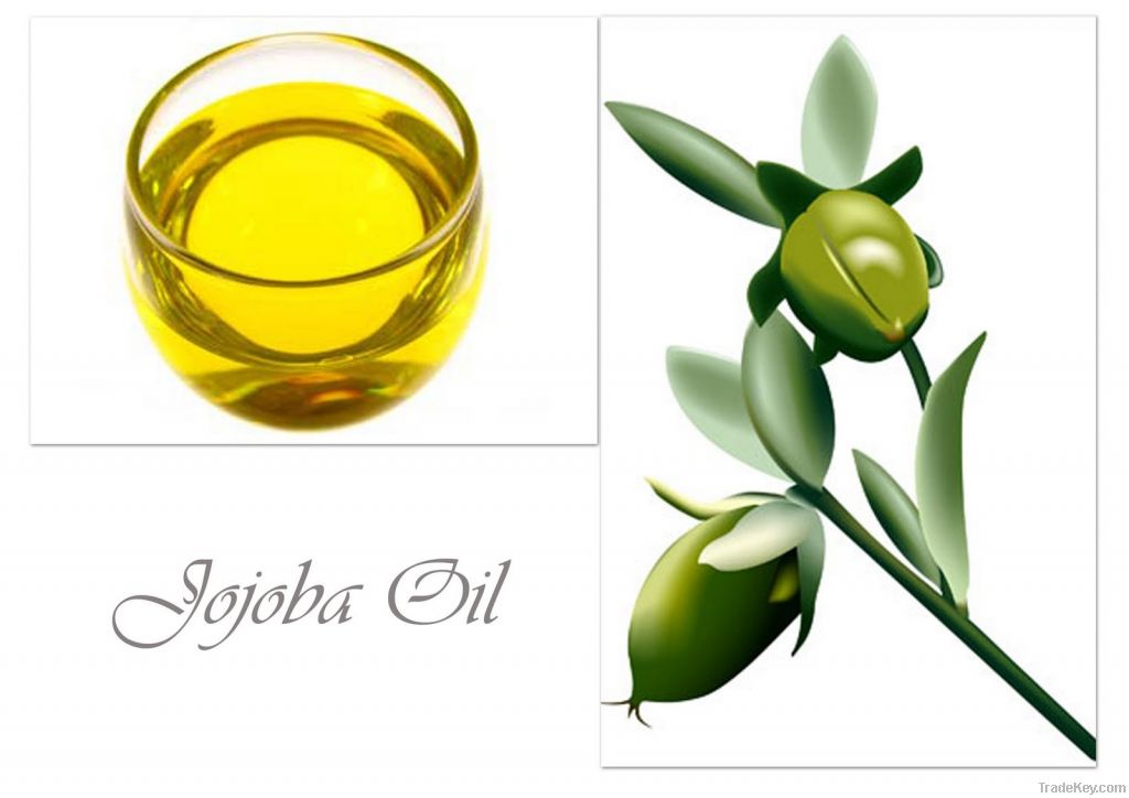 Jojoba oil