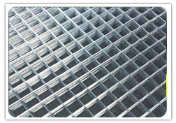 Welded Wire Mesh