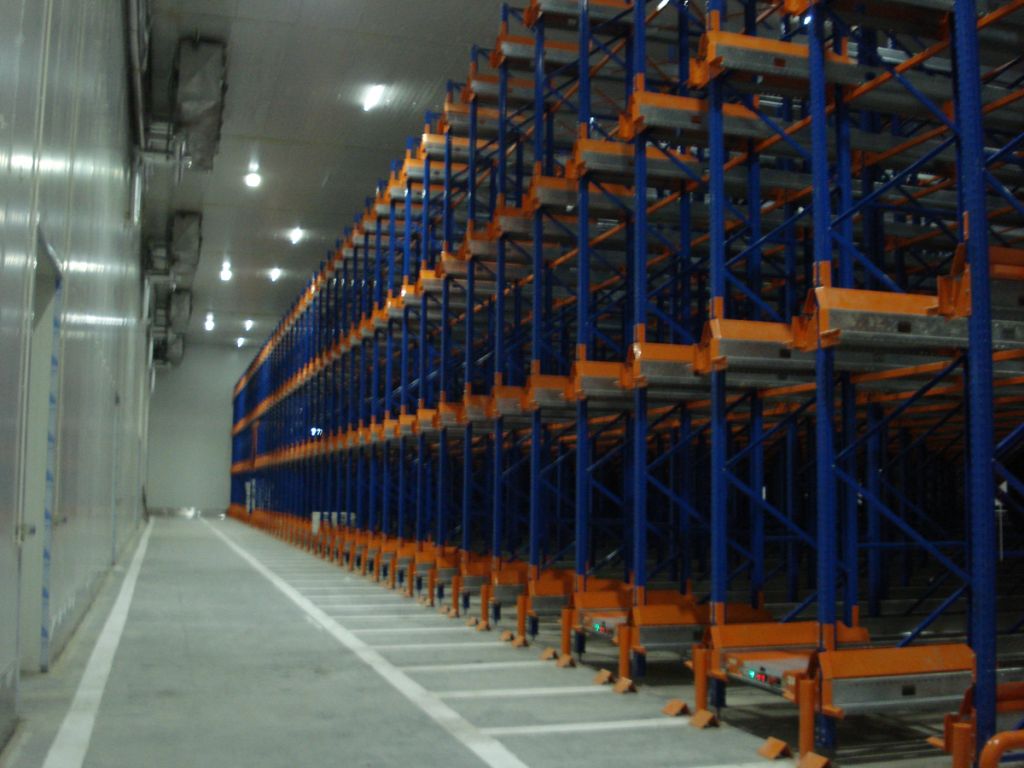 CE Certificated Radio shuttle racks with Pallet Runner