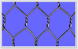 Hexagonal wire netting