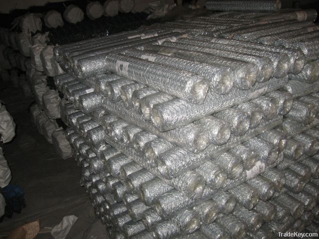 hexagoanl wire netting