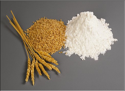 Wheat Gluten