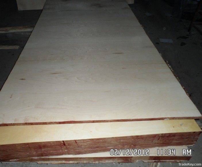 birch plywood