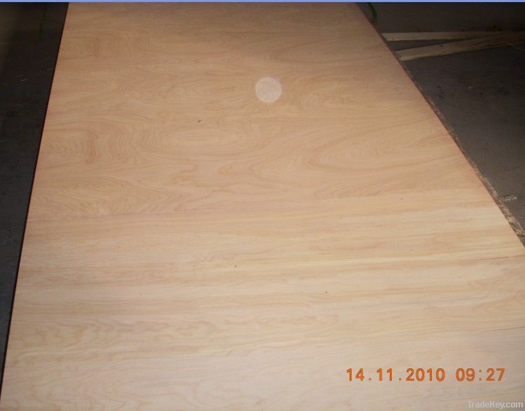 birch plywood