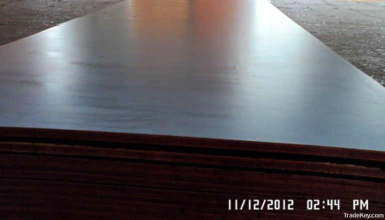 marine film faced plywood/marine plywood